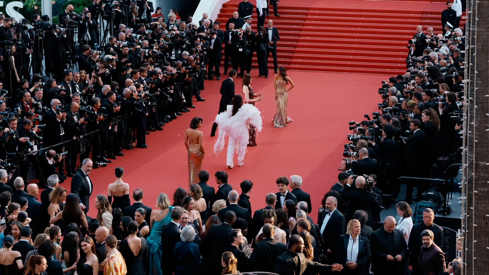 Photographes alignés de chaque côté du tapis rouge lors de la montée des marches du Festival de Cannes